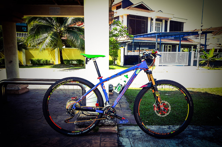 santa cruz highball 2016