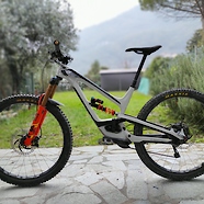 YT CAPRA 29 CUSTOM BUILD