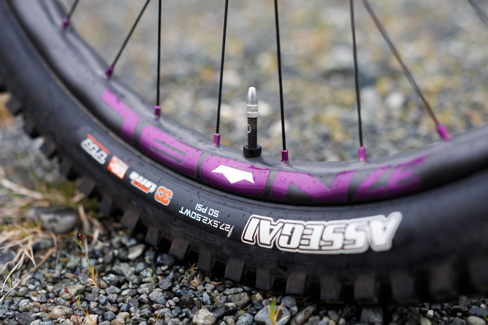 NOBL Bike Check Victoria L's Transition Scout NOBL Wheels's Bike