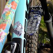 Flower Fuel (Trek Fuel EX Carbon Custom)
