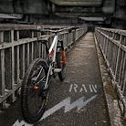 2019 Stumpjumper RAW custom (NON EVO)