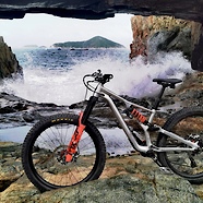 2019 Stumpjumper RAW custom (NON EVO)