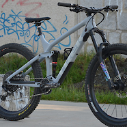 Trek Remedy 9.8 2019