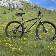 Kona Unit X / no suspension; no carbon