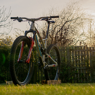 Nukeproof Mega 290 Custom