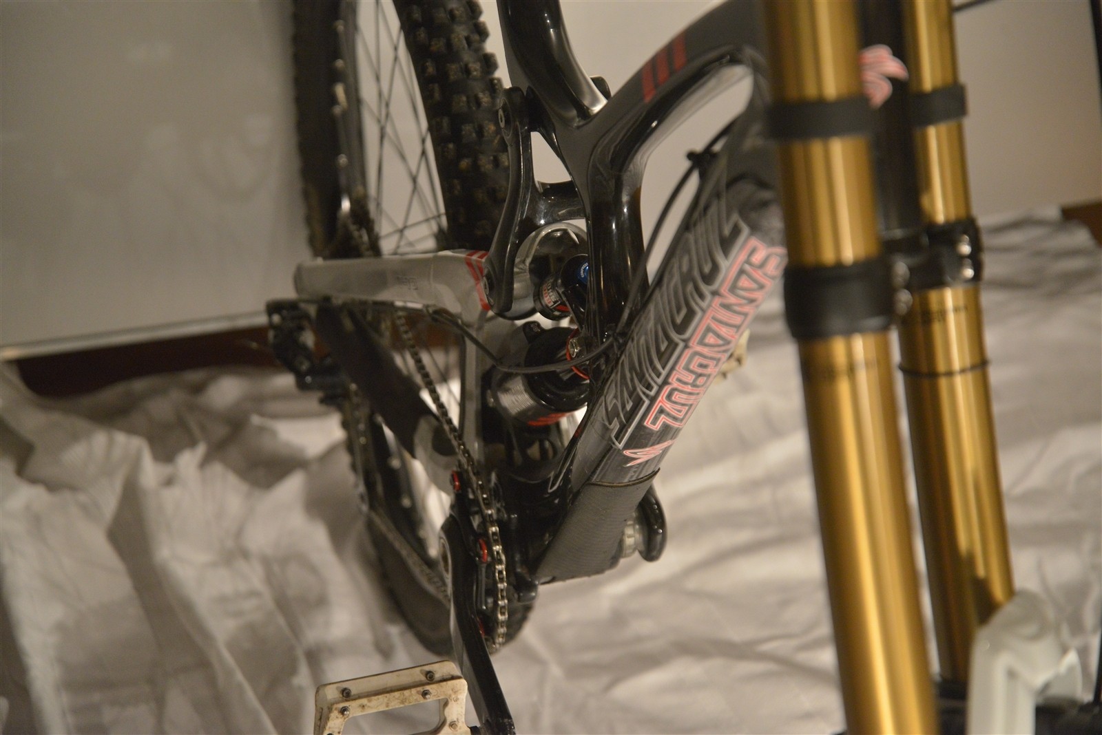 santa cruz v10 custom