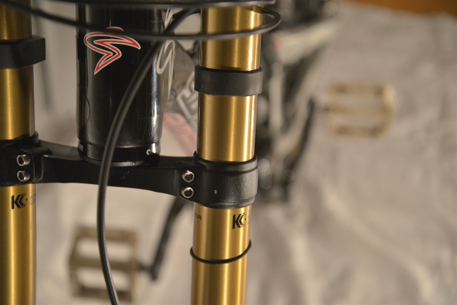 santa cruz v10 custom