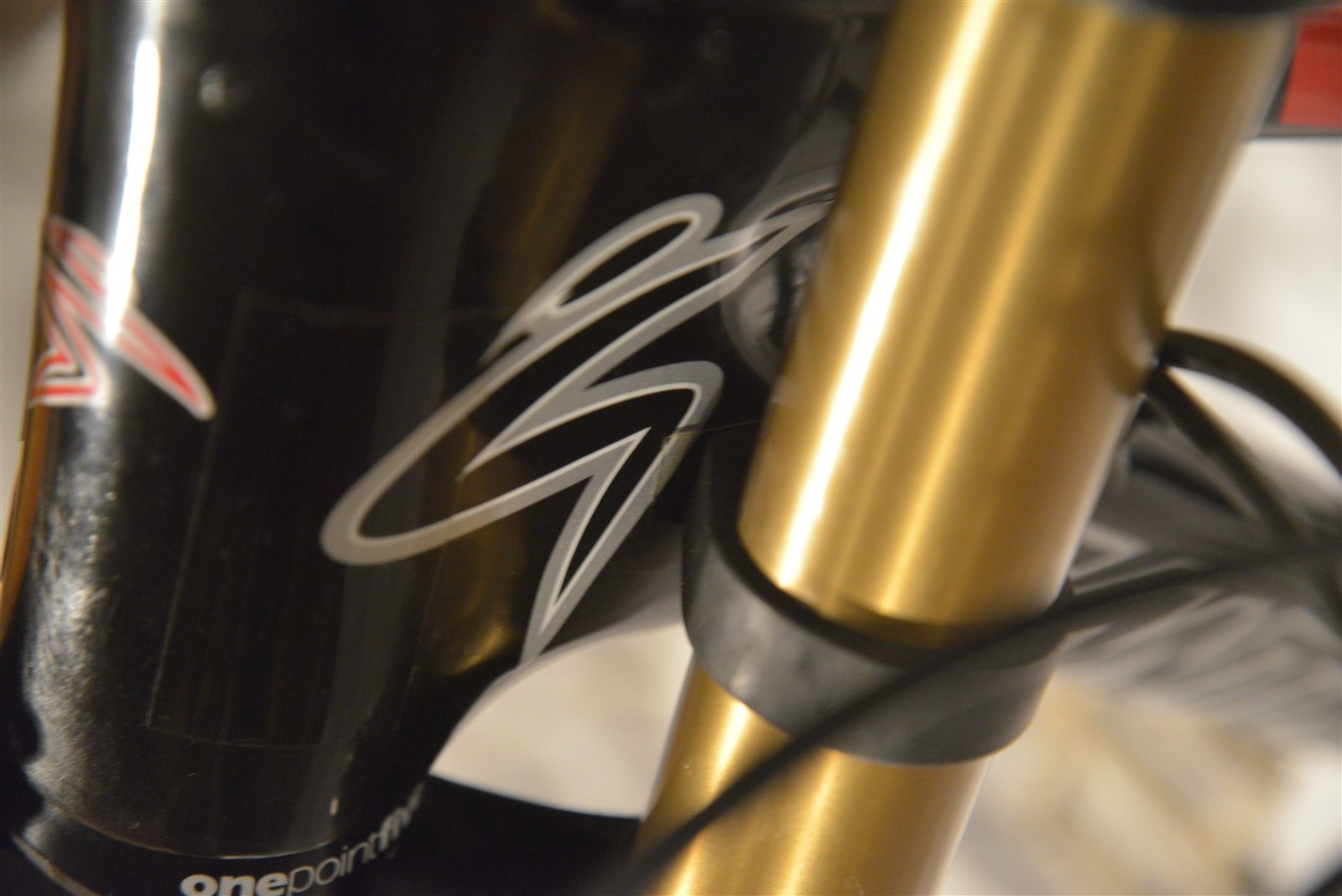 santa cruz v10 custom