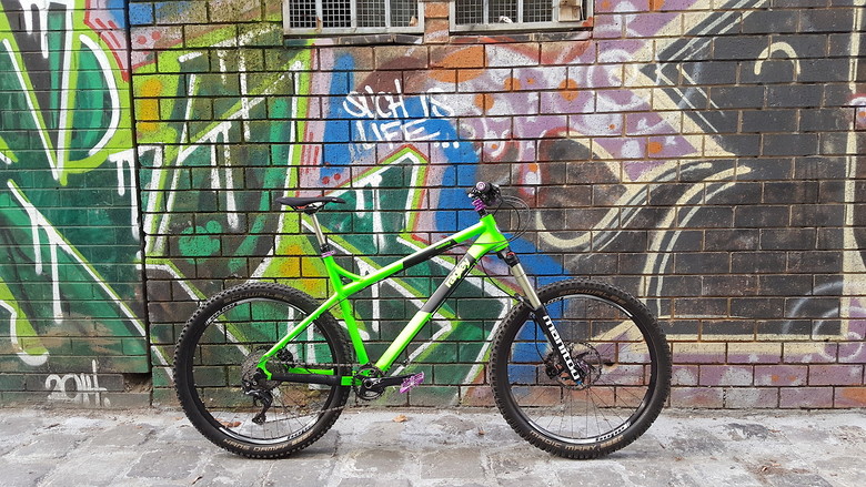 2017 ragley blue pig