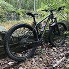 Cannondale Cujo 3
