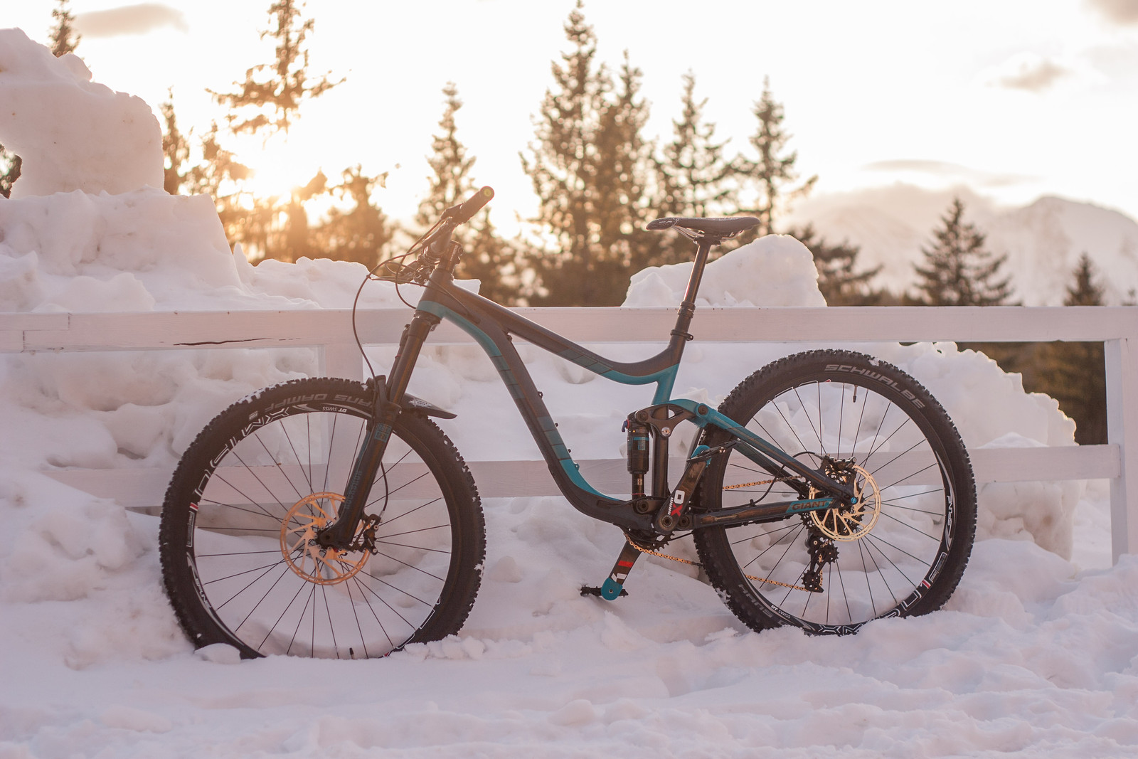 giant reign custom paint