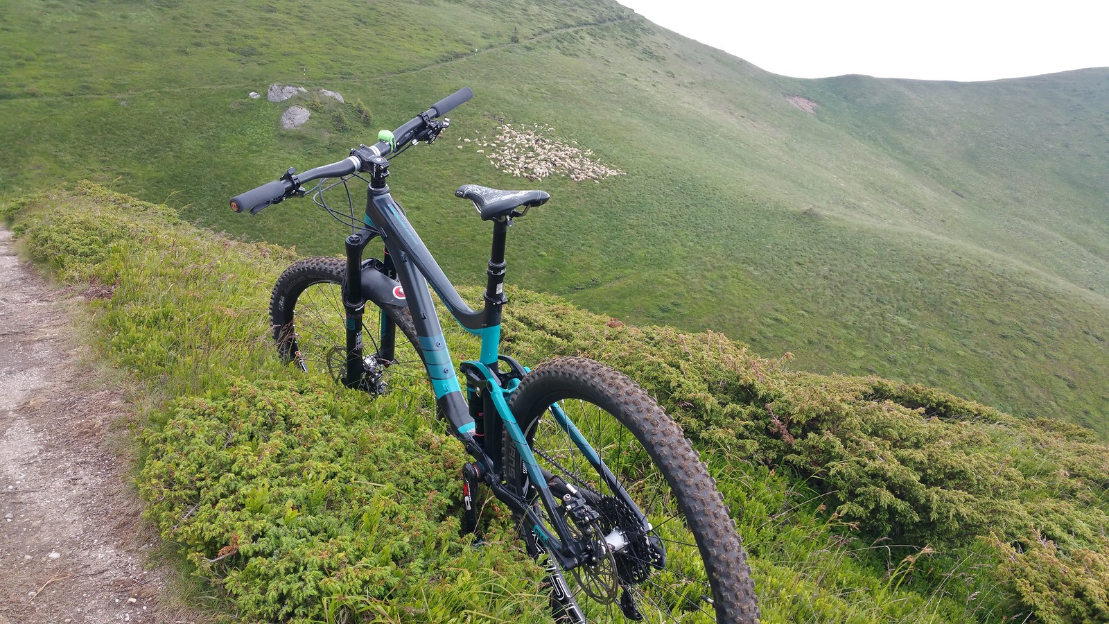 giant reign custom paint