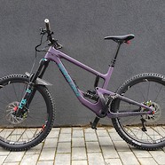 Croocodillul's Santa Cruz