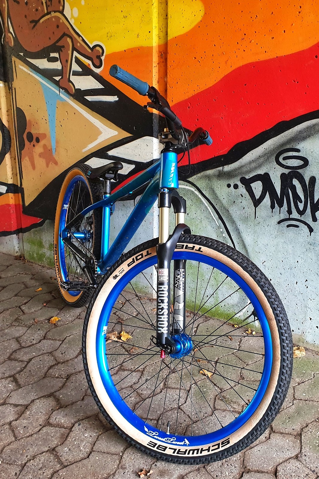 Canyon Stitched The Blue Bike Daniel Gregersen's Bike Check Vital MTB
