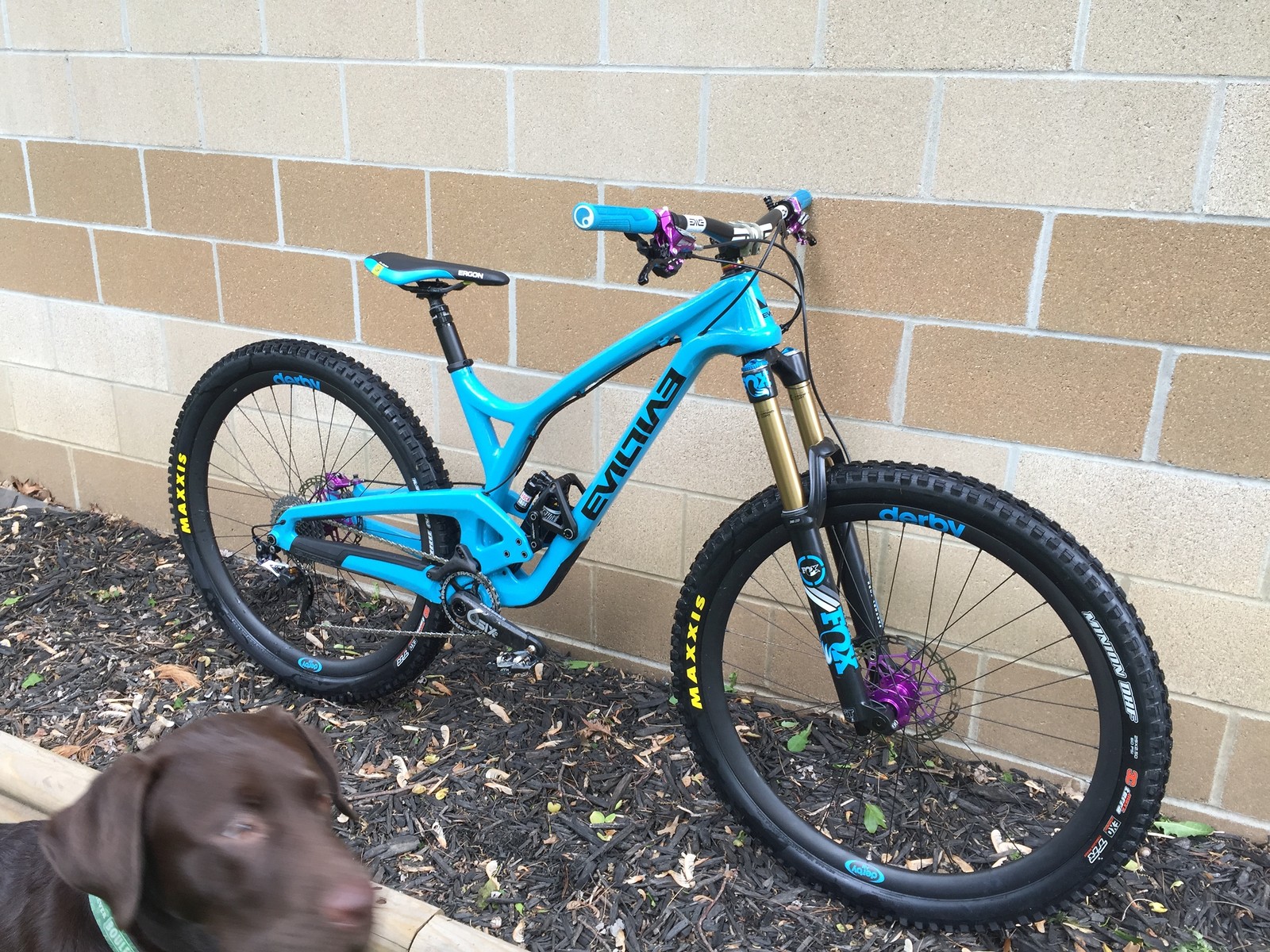 evil wreckoning lb frame