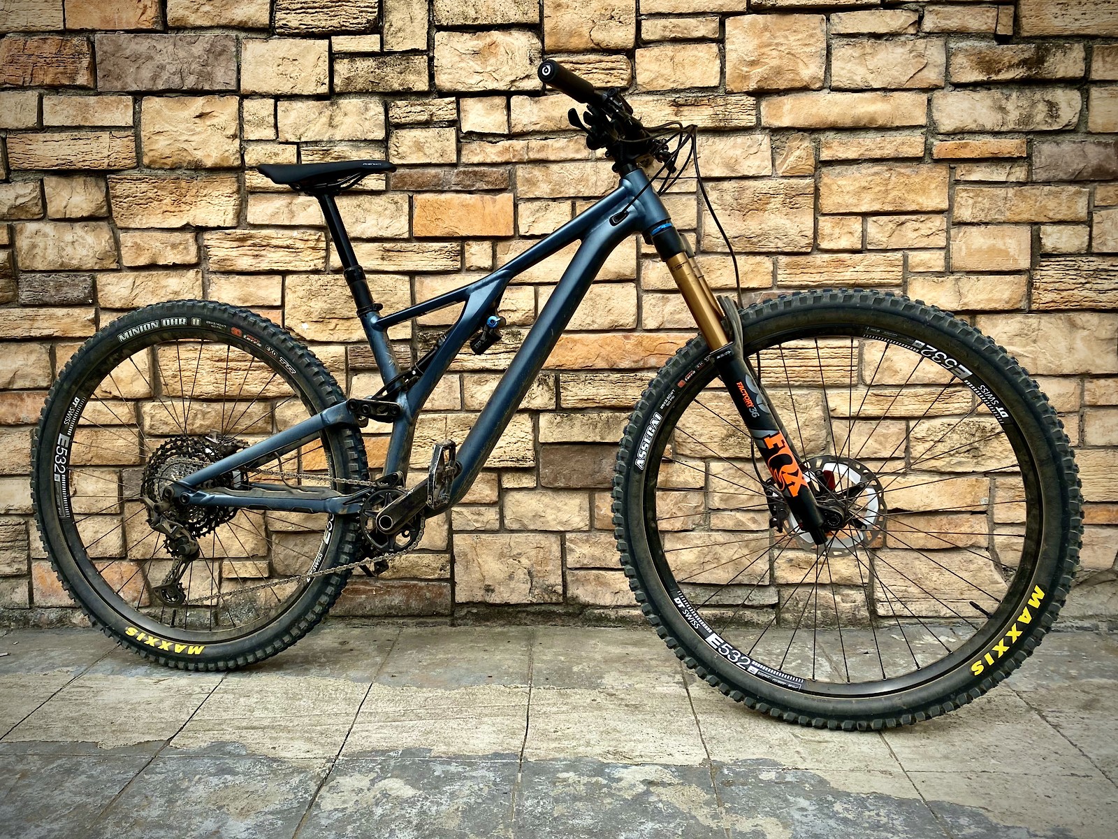 evo 29er