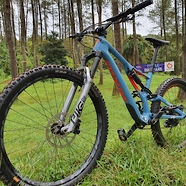 Stumpjumper Mullet