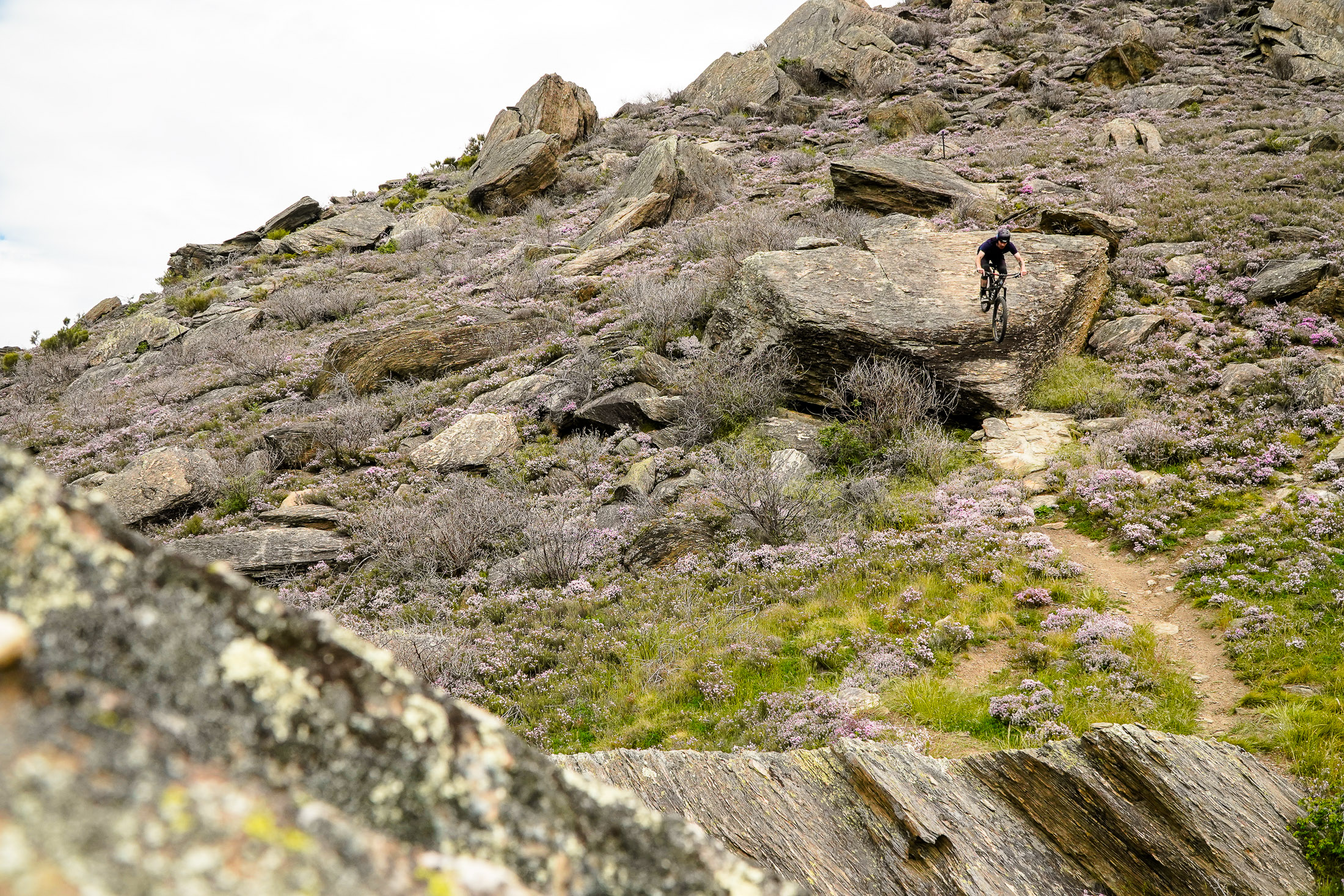 Good Thymes 208media Mountain Biking Pictures Vital MTB