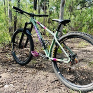Santa Cruz Chameleon