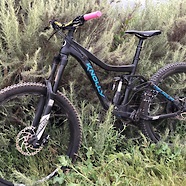 2016 Knolly Delirium