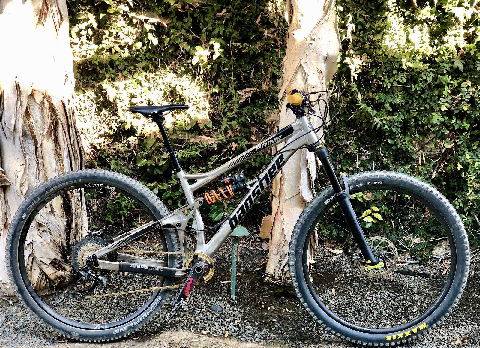 Raw Banshee Prime V2 coil - jimmy chu's Bike Check - Vital MTB