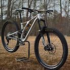 2019 Specialized Stumpjumper Evo 29 Alloy