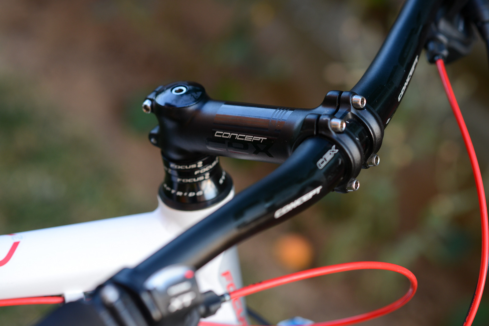 focus black forest mtb