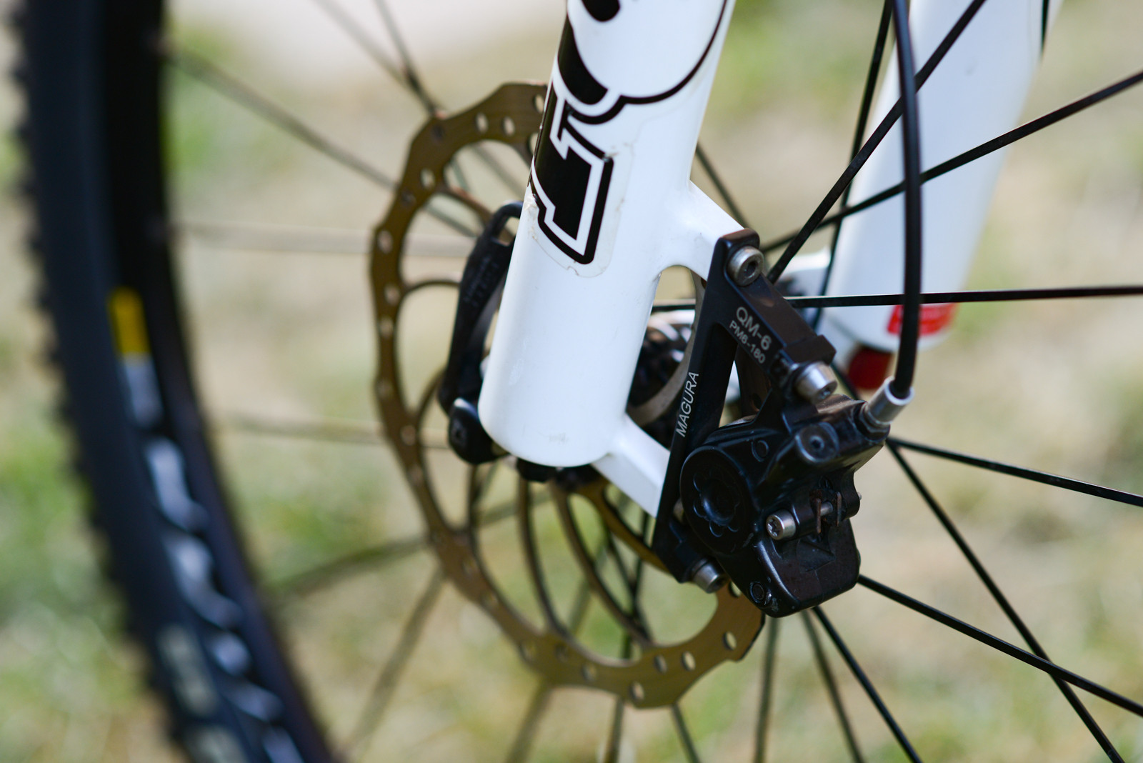 focus black forest mtb