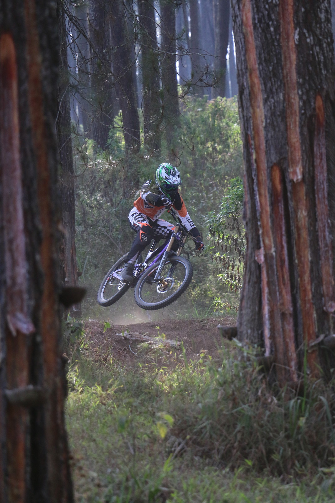 scrub between the trees - adirint85 - Mountain Biking ...