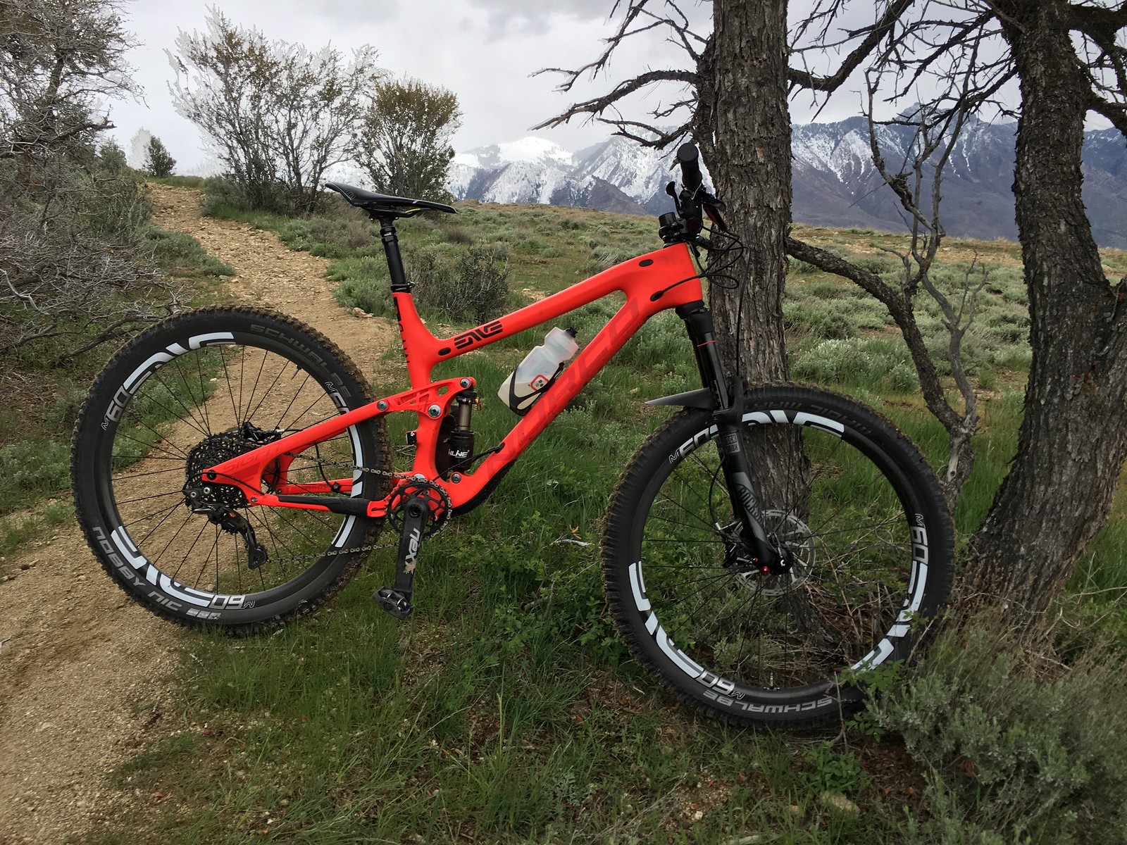 norco sight carbon 2016