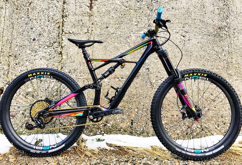 2017 s works enduro 650b