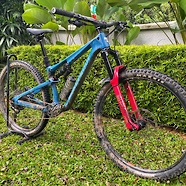 Nukeproof Reactor 290c