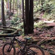 2015 Santa Cruz Heckler -- The Budget Banger