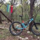 2019 Mondraker Foxy 29 XR Large