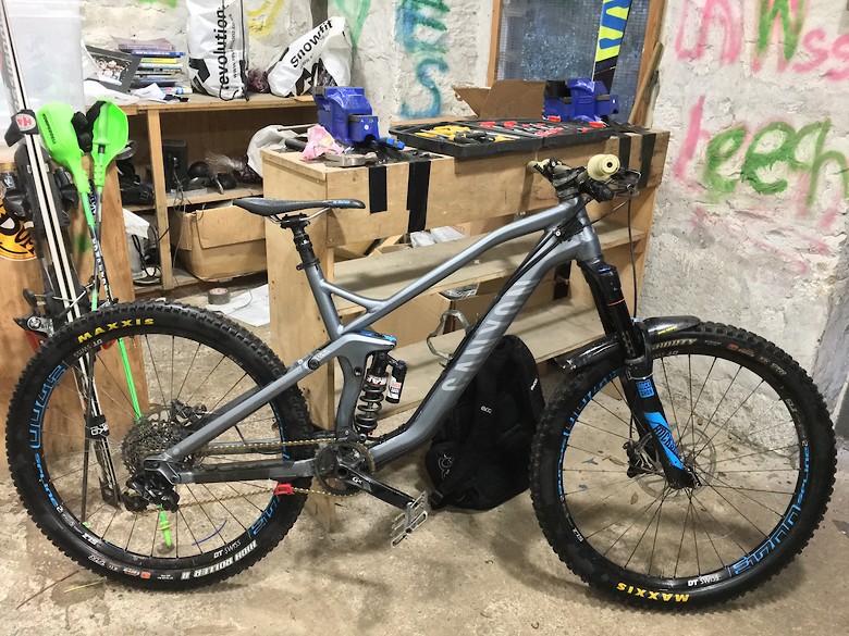 canyon spectral coil shock