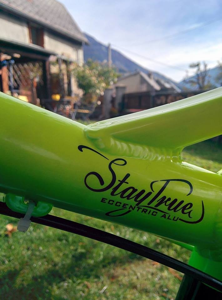 ns bikes eccentric frame