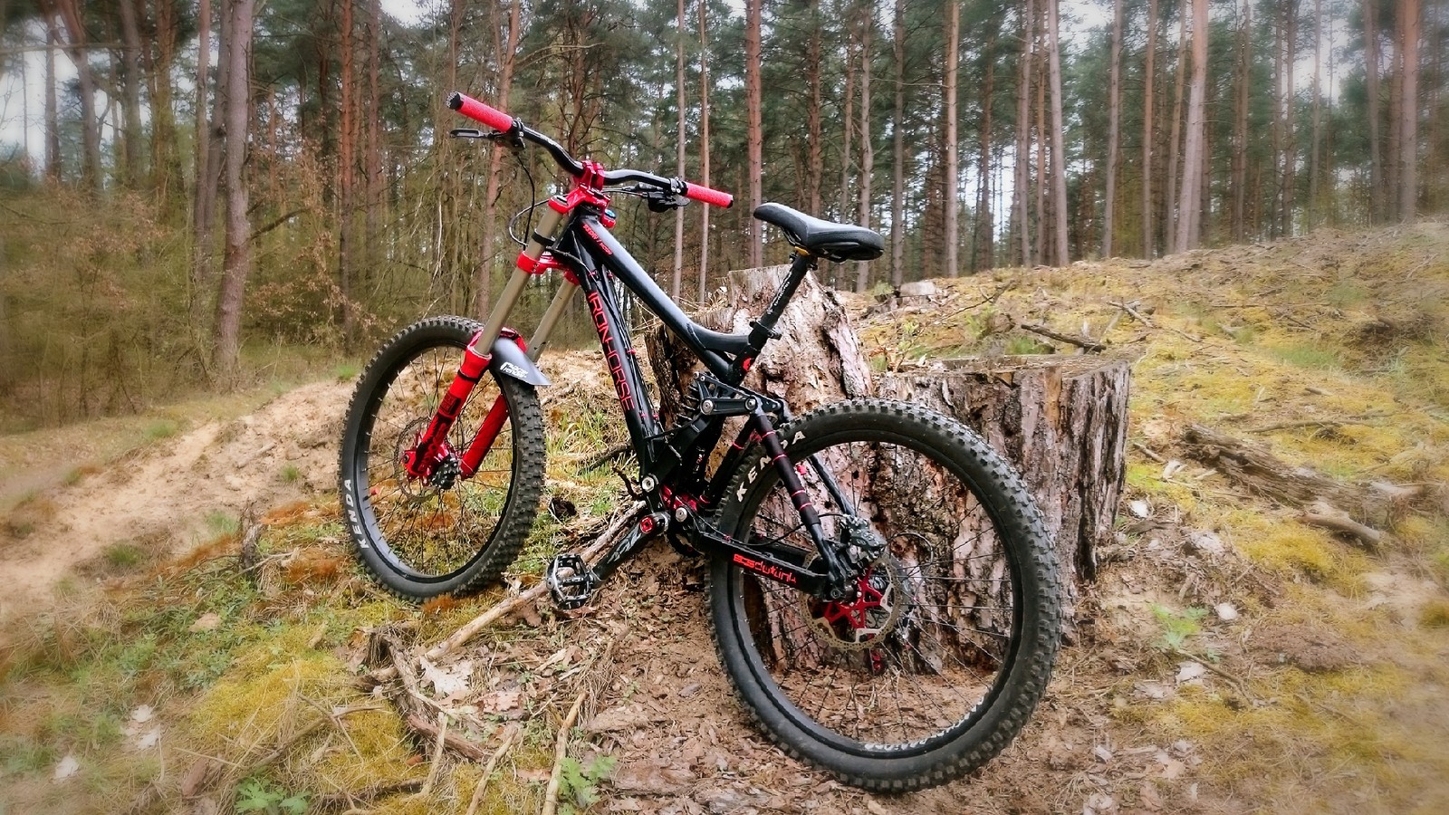 iron horse bike shop