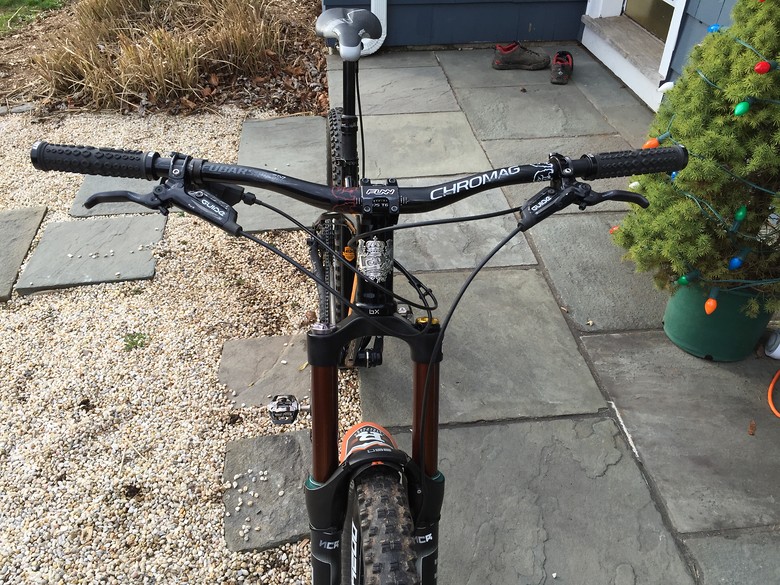 ragley blue pig 2016