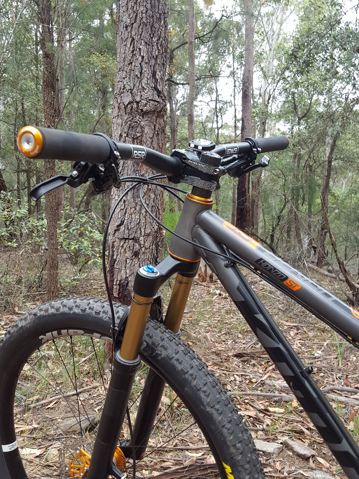 honzo st frame weight