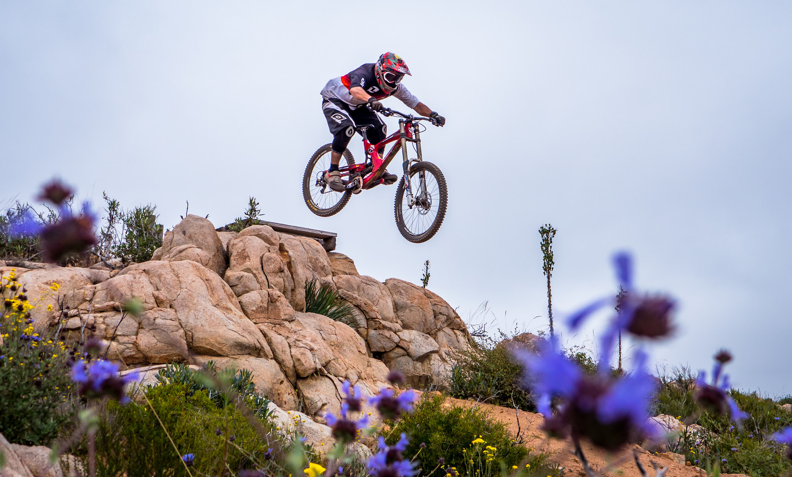 Purple jump entronke Mountain Biking Pictures Vital MTB