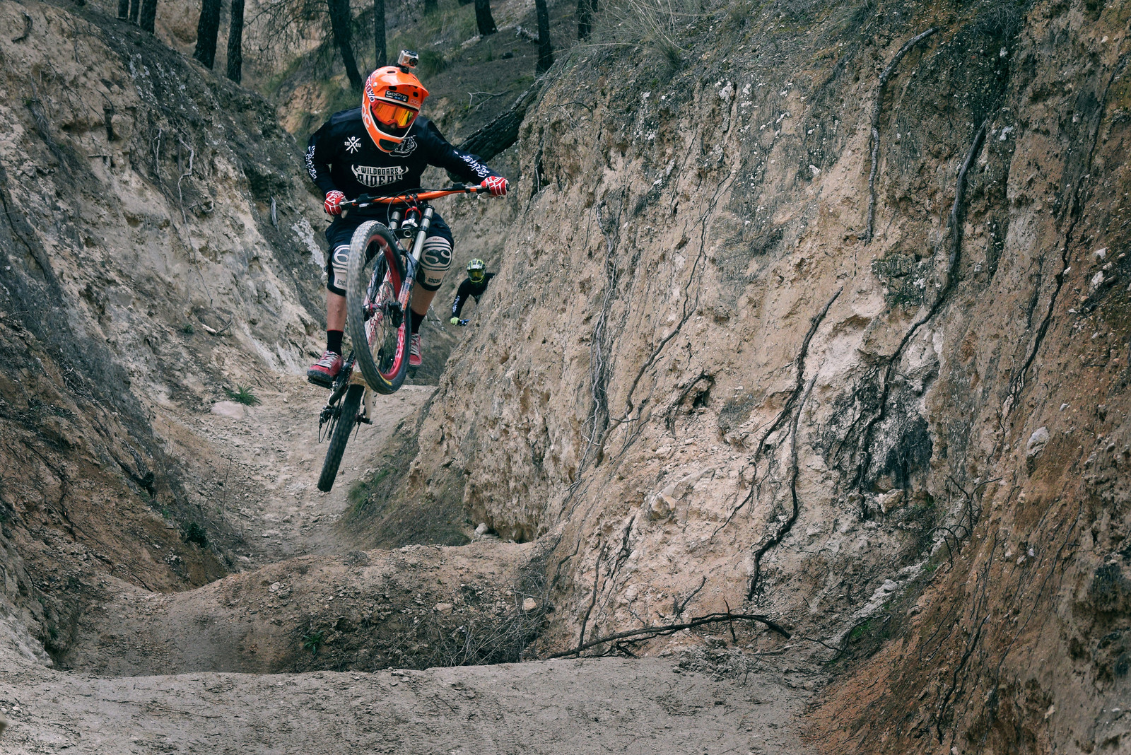 Jumps wardog Mountain Biking Pictures Vital MTB