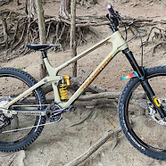 2020 Transition Scout