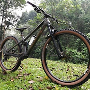 Fully Custom 2021 Transition Spur (Humble Build)
