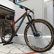 2019 Santa Cruz Chameleon - Humble Build Custom