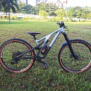 2022 Stumpjumper Evo Alloy - Modest Custom