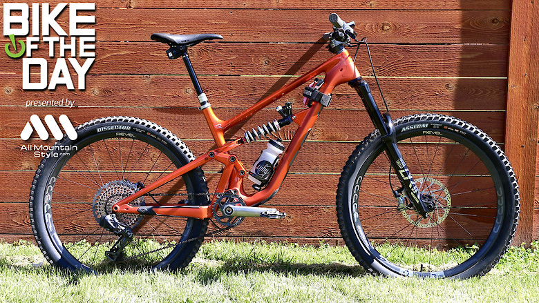 tiger push bike