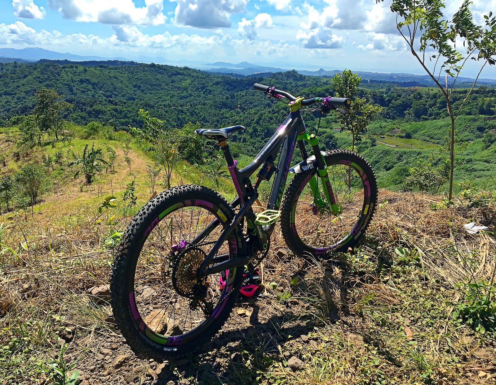 Purple santa dress Clearance