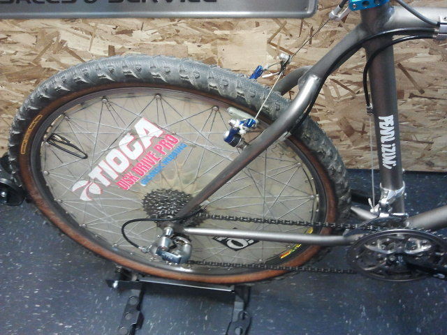 raleigh titanium mtb