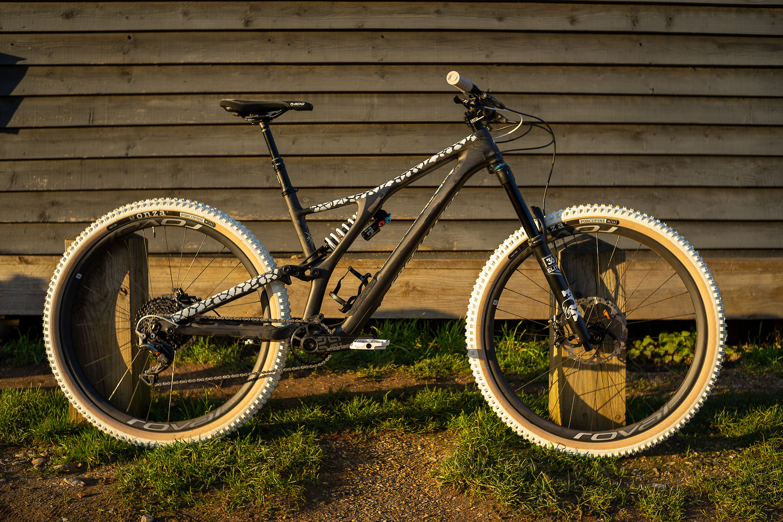 Specialized Stumpjumper EVO Carbon Mono edition BRINK's Bike Check