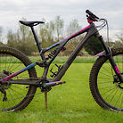 2021 Specialized Stumpjumper Evo LTD - Pinky Boy